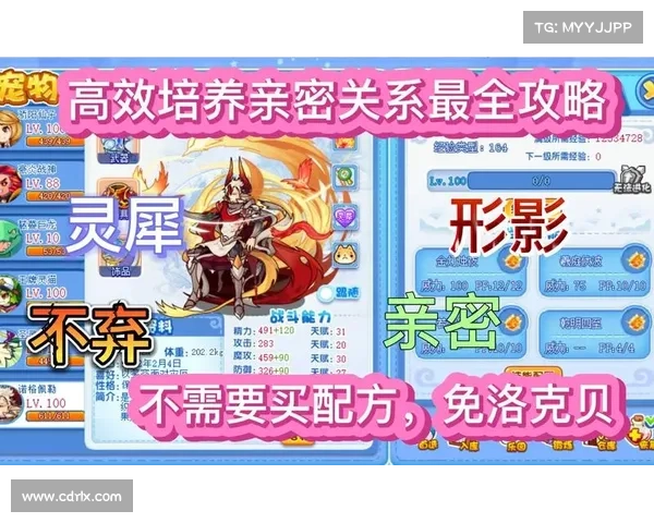 洛克王国快速升级攻略与高效成长策略全解析 洛克王国快速升级攻略与高效成长策略全解析