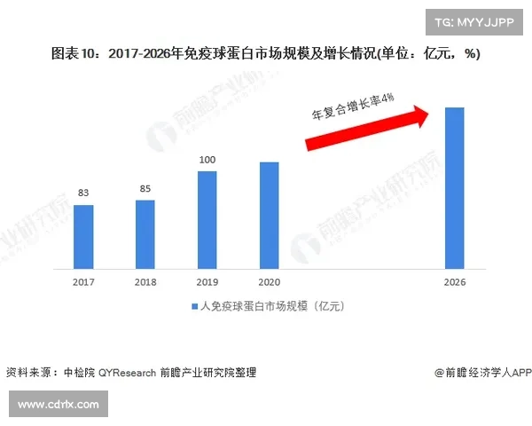 埃弗拉职业生涯全景解析与未来发展方向深度指南