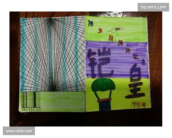 巴舒亚伊使用的语言及其多元语言背景解析