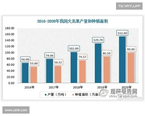 战胜越南的五大关键因素分析与战略解读