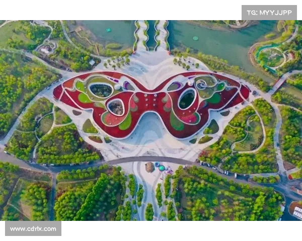 如何在上海马术比赛中提升竞技表现和增强骑术技能的有效策略