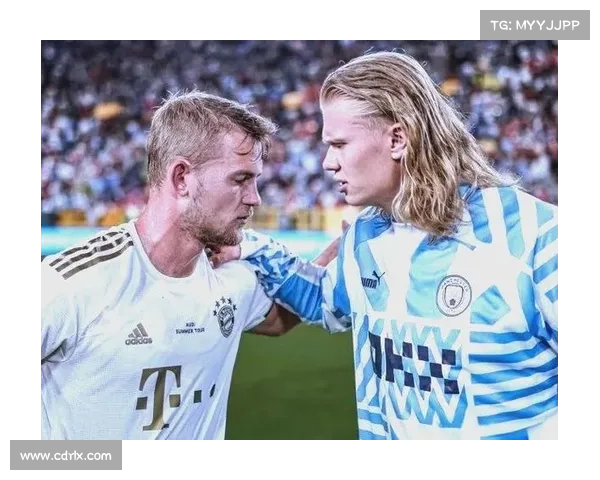 如何评估哈兰德在国家队中的战术作用与整体影响力