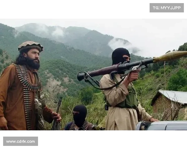 战火与辉煌：以巴阿大战为中心