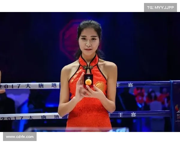 拳击比赛全解析揭秘精彩节目内容与比赛规则赛制的深度剖析