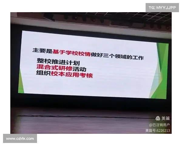 提升球迷体验促进收入增长的策略与实践探索